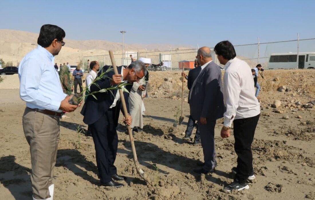 پویش “در سایه مادر” در ۱۰ شهرستان هرمزگان برگزار شد