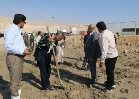 پویش “در سایه مادر” در ۱۰ شهرستان هرمزگان برگزار شد