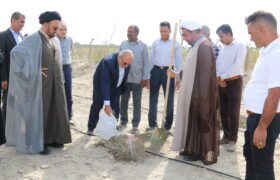  ۵ هزار اصله نهال به نام پدر در هرمزگان کشت شد