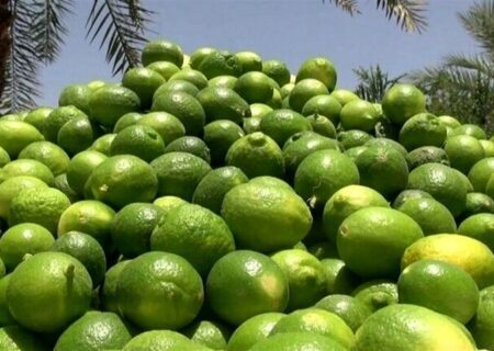 برگزاری جشنواره ملی لیموترش و خرما در رودان