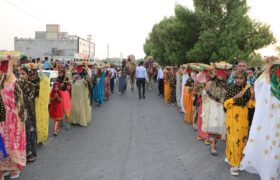 شور و شکرگزاری در میناب؛ آغاز یازدهمین جشنواره انبه و یاسمین گل