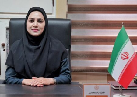 راه‌اندازی سامانه شهروندی سمیع برای پرداخت آنلاین عوارض خودرو در بندرعباس